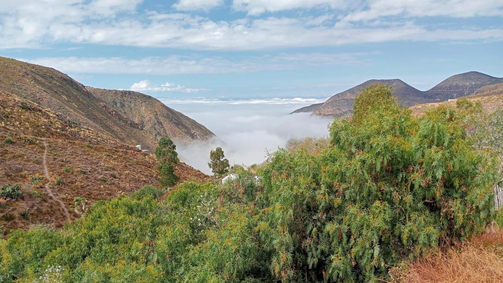 בית הארחה Catorce 	Ventana Al Desierto מראה חיצוני תמונה